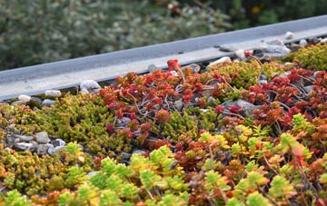 the cost of Bridge Hewick green roof installation