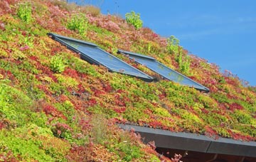 Bridge Hewick living roof systems